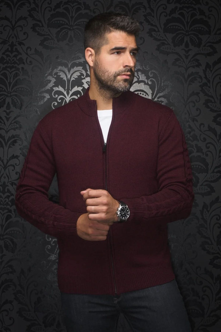 Pull en laine mérinos Esteban, col zippé, couleur bordeaux, style élégant pour hommes.