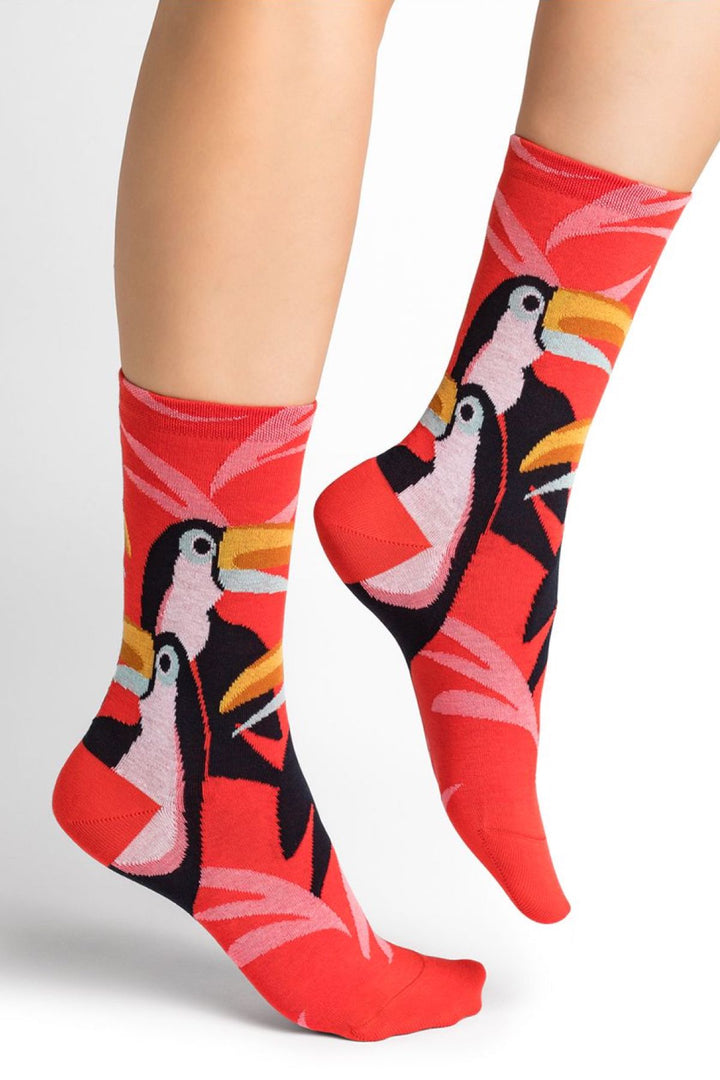 Chaussettes Toucans